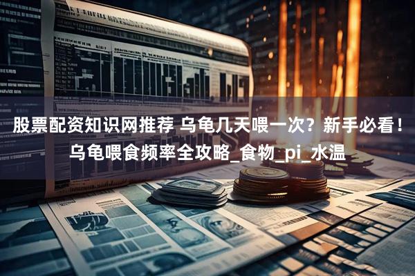股票配资知识网推荐 乌龟几天喂一次？新手必看！乌龟喂食频率全攻略_食物_pi_水温