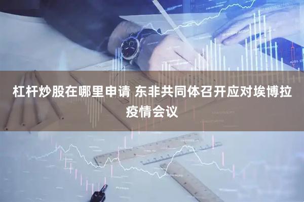 杠杆炒股在哪里申请 东非共同体召开应对埃博拉疫情会议